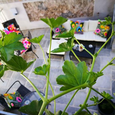 Cres Art Studio Lime Apartment Zewnętrze zdjęcie